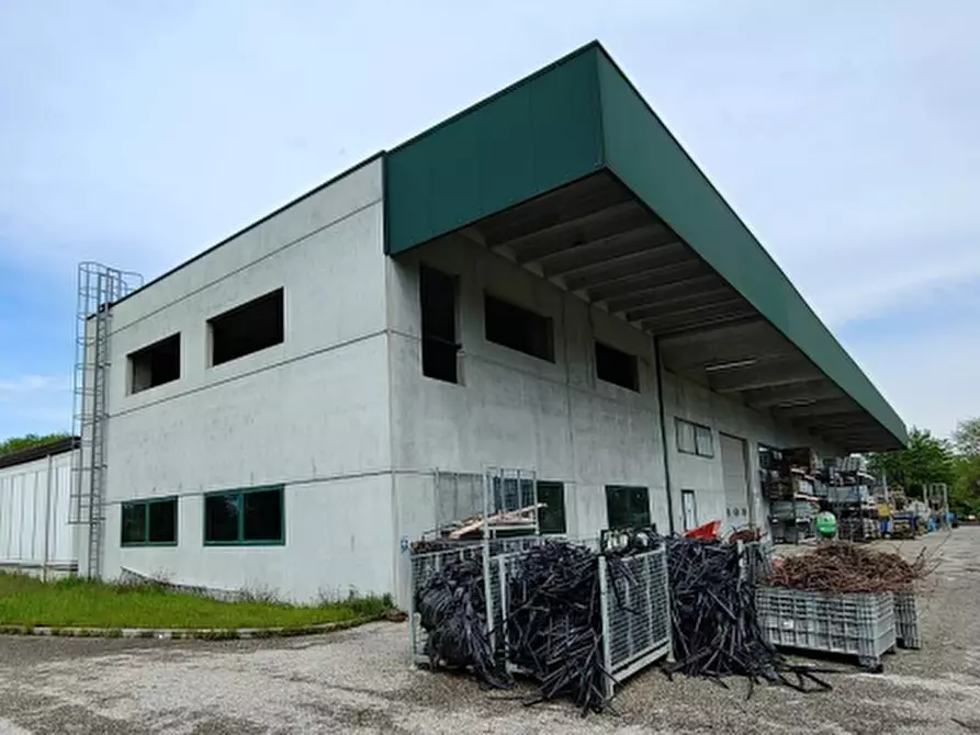 Immagine 7 di Capannone industriale in vendita  in Via Pietro Zorutti a San Giorgio Della Richinvelda