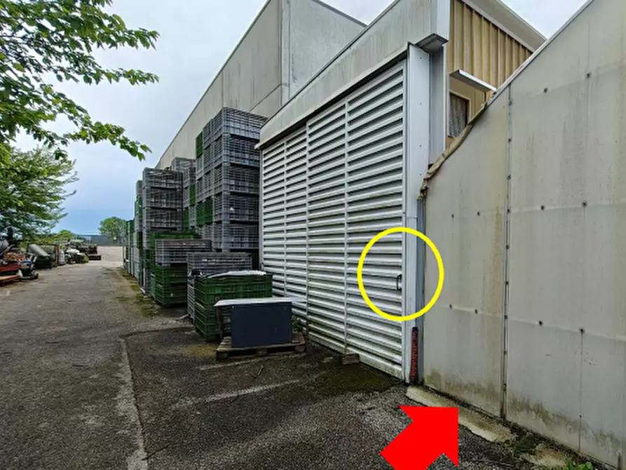 Immagine 9 di Capannone industriale in vendita  in Via Pietro Zorutti a San Giorgio Della Richinvelda
