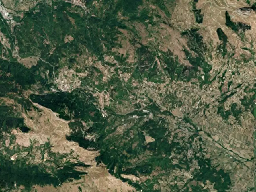Immagine 10 di Terreno agricolo in vendita  in Località Castelpetroso a Castelpetroso
