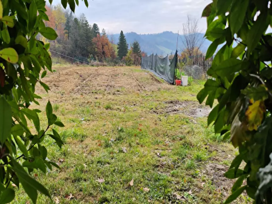 Immagine 9 di Appartamento in vendita  in Via Gastone Rossi a Marzabotto