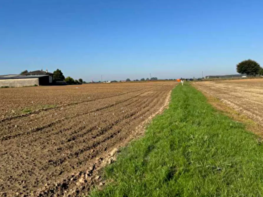 Immagine 1 di Terreno agricolo in vendita  in Via Casalino a Roverchiara