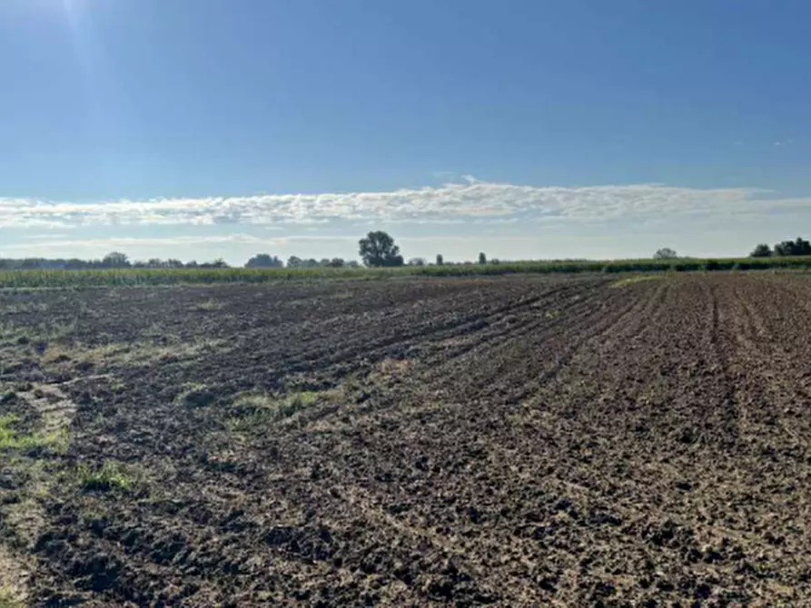 Immagine 2 di Terreno agricolo in vendita  in Via Casalino a Roverchiara