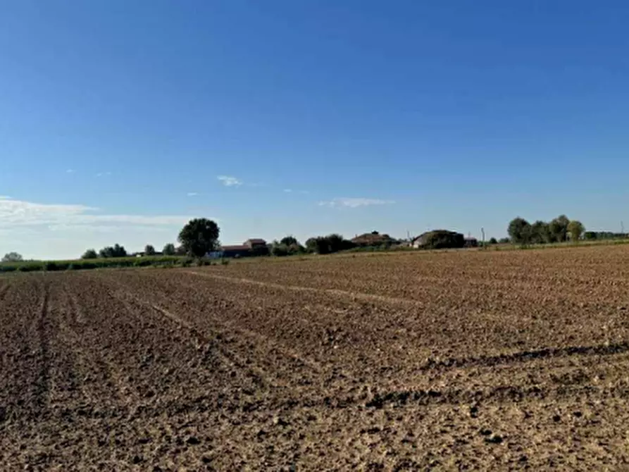 Immagine 3 di Terreno agricolo in vendita  in Via Casalino a Roverchiara