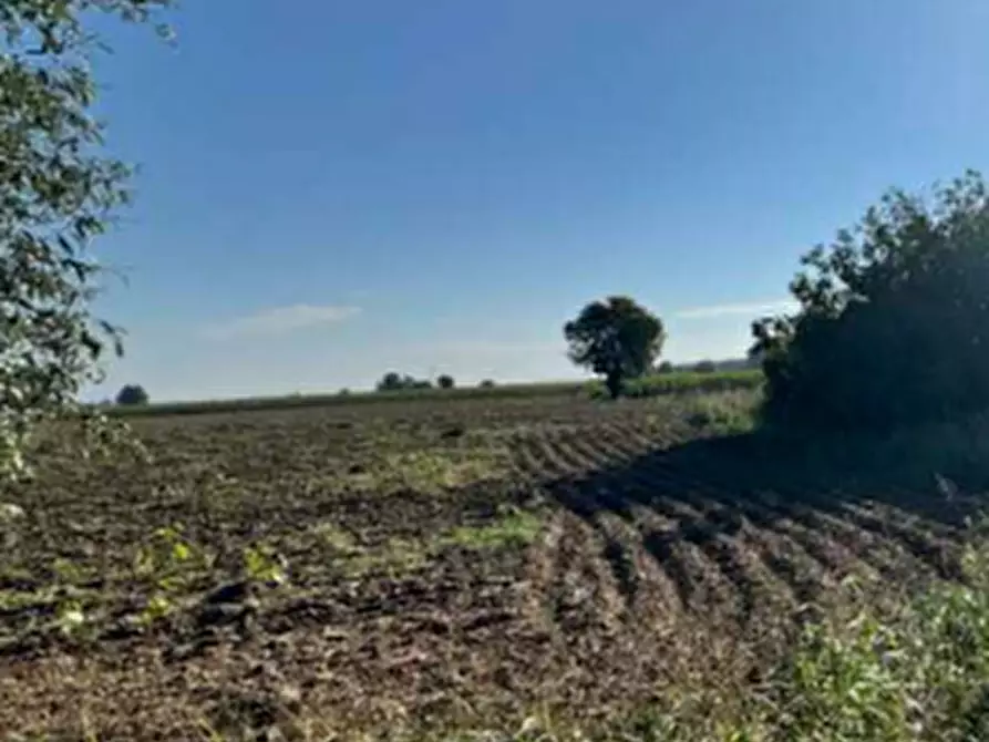 Immagine 4 di Terreno agricolo in vendita  in Via Casalino a Roverchiara