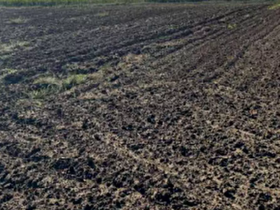 Immagine 5 di Terreno agricolo in vendita  in Via Casalino a Roverchiara