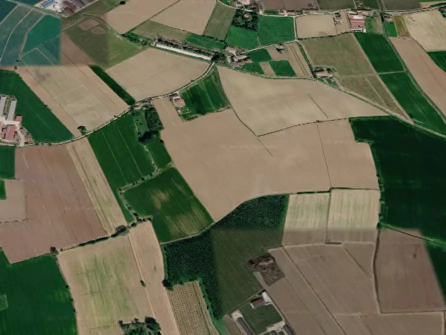 Immagine 6 di Terreno agricolo in vendita  in Via Casalino a Roverchiara