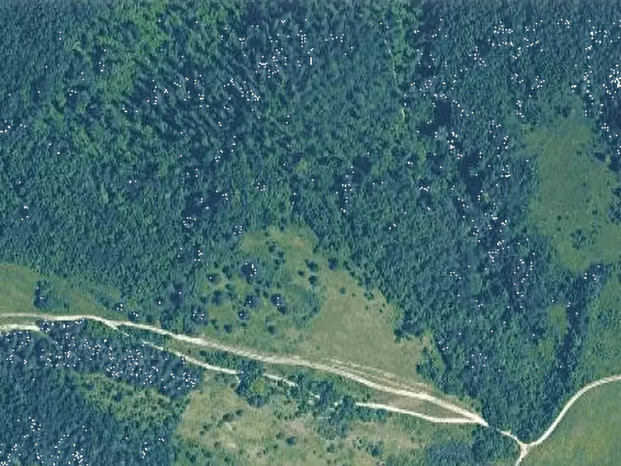 Immagine 4 di Terreno agricolo in vendita  in Località Riano a Langhirano