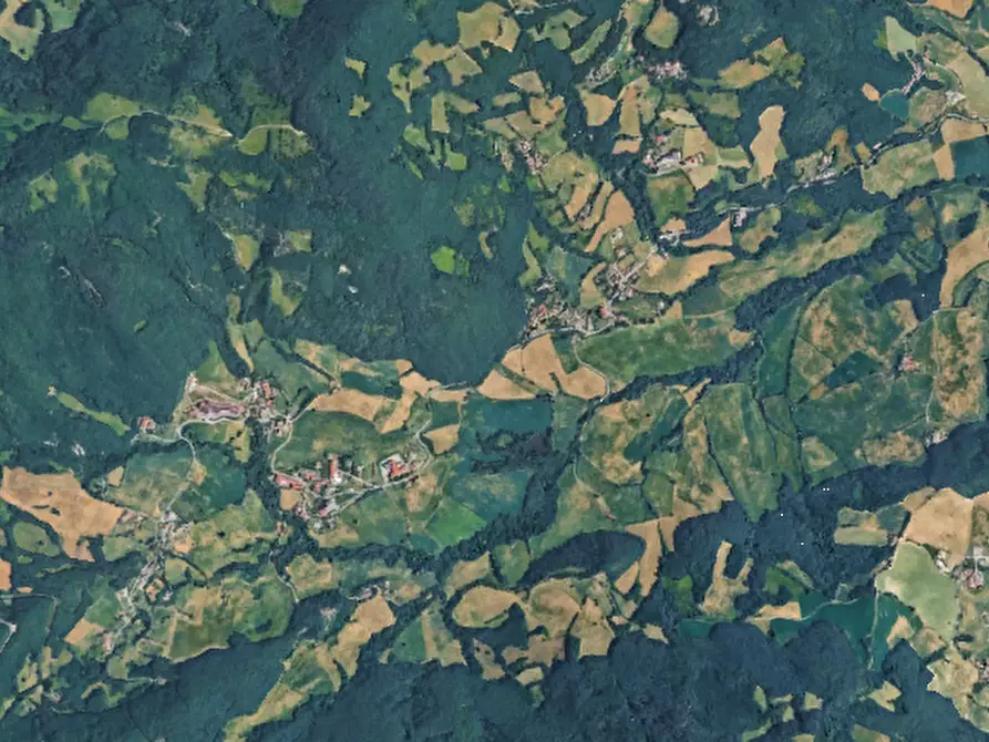Immagine 7 di Terreno agricolo in vendita  in Località Riano a Langhirano