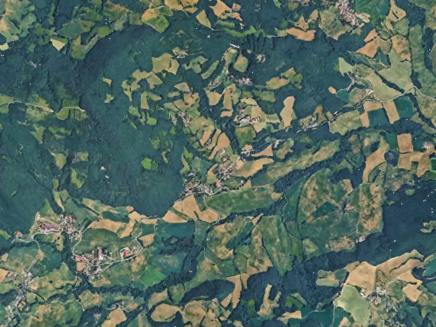 Immagine 9 di Terreno agricolo in vendita  in Località Riano a Langhirano