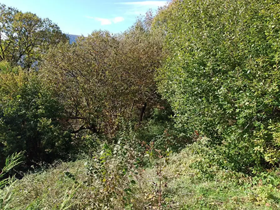 Immagine 3 di Terreno edificabile in vendita  in Via San Fedele a Blessagno