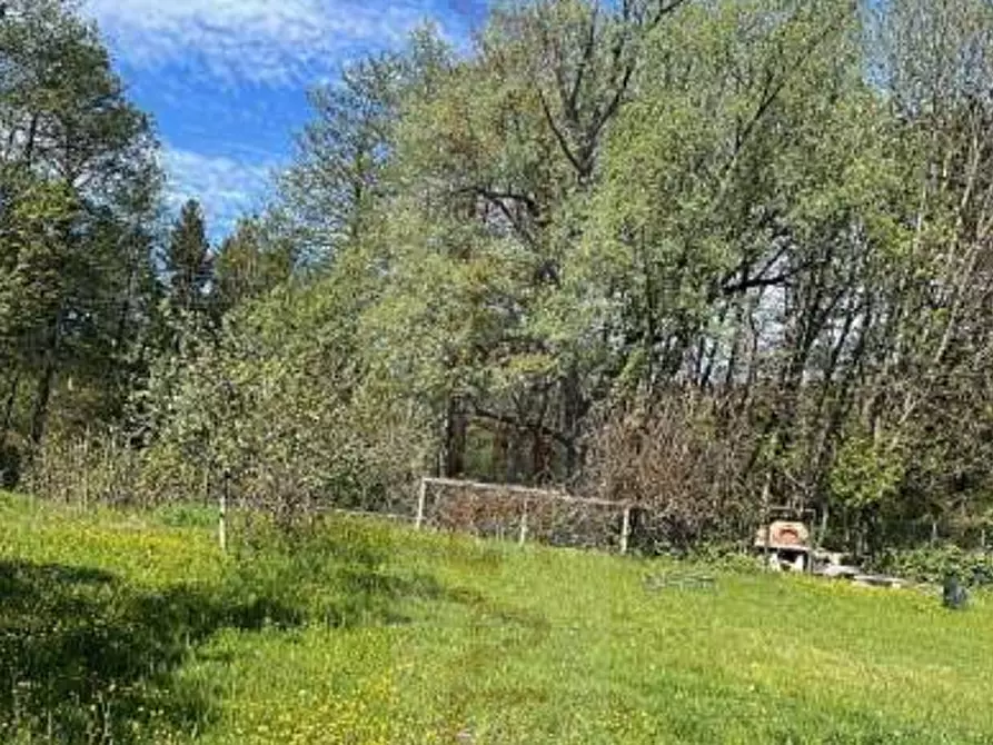 Immagine 1 di Terreno agricolo in vendita  in Via Molinazzo a Cugliate-Fabiasco