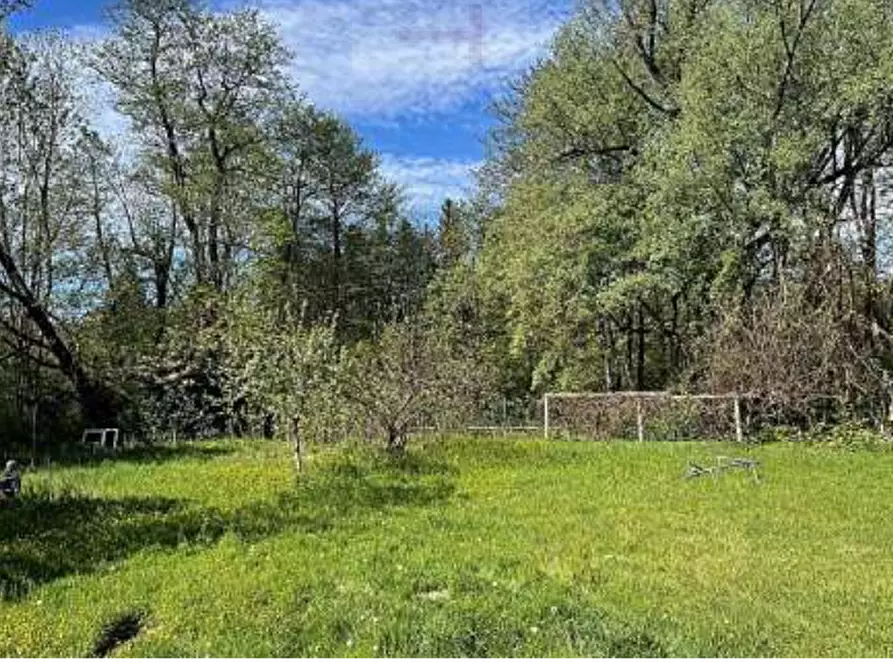 Immagine 2 di Terreno agricolo in vendita  in Via Molinazzo a Cugliate-Fabiasco