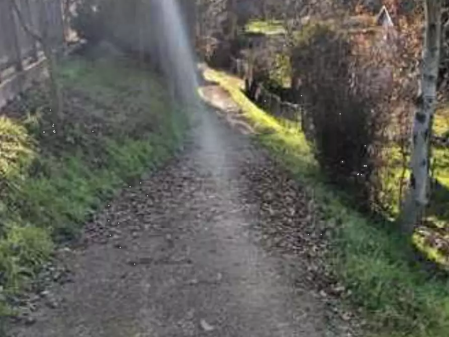 Immagine 3 di Rustico / casale in vendita  in Via Argine a Ponte Di Piave