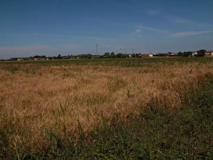 Immagine 11 di Terreno agricolo in vendita  in località Cava Manara e Travacò Siccomario a Cava Manara