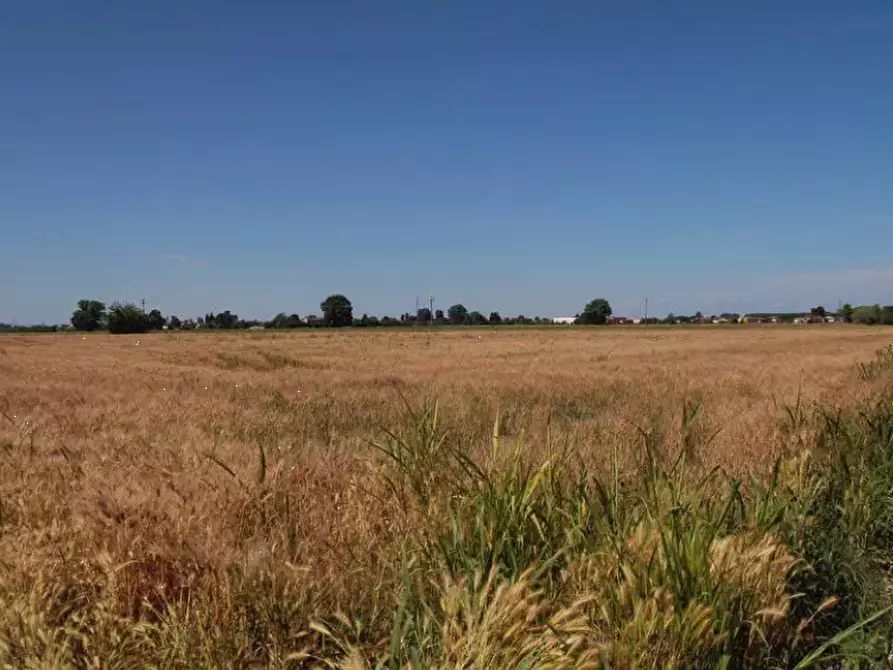 Immagine 12 di Terreno agricolo in vendita  in località Cava Manara e Travacò Siccomario a Cava Manara