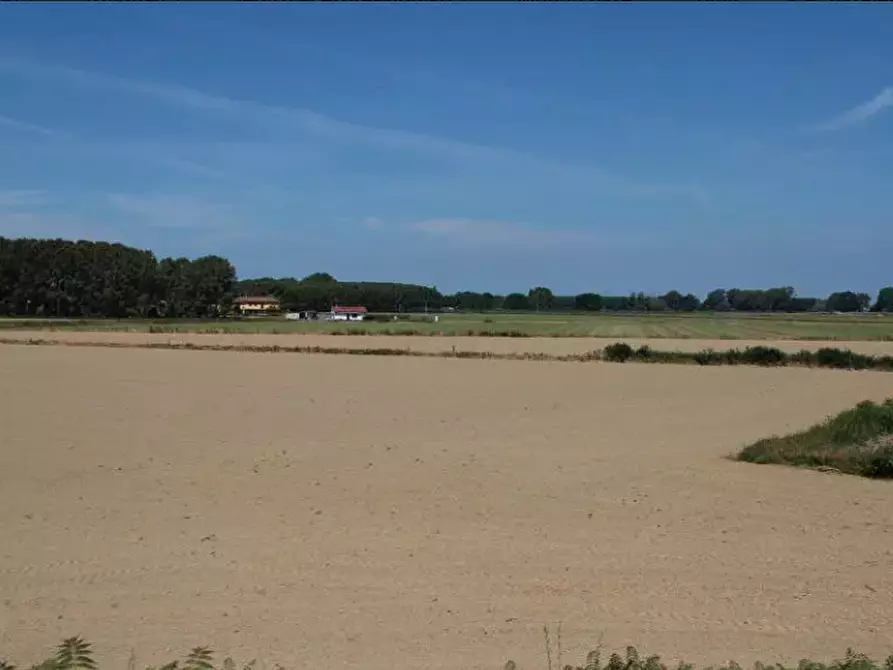 Immagine 13 di Terreno agricolo in vendita  in località Cava Manara e Travacò Siccomario a Cava Manara