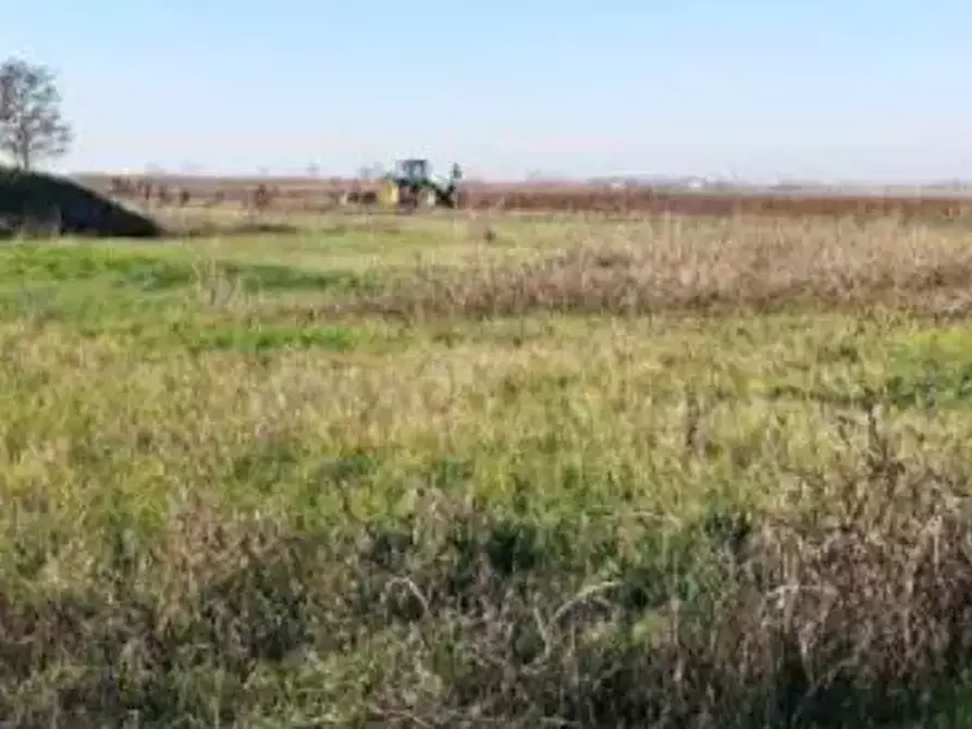 Immagine 1 di Terreno agricolo in vendita  in Via Valter Brunelli a Nogara