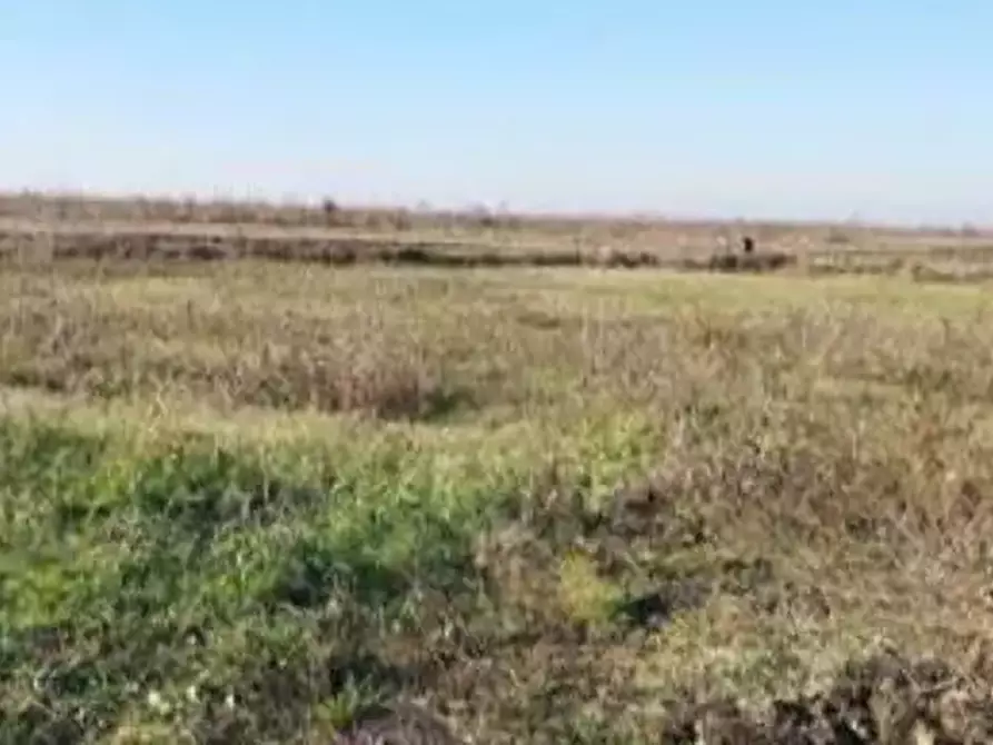 Immagine 2 di Terreno agricolo in vendita  in Via Valter Brunelli a Nogara