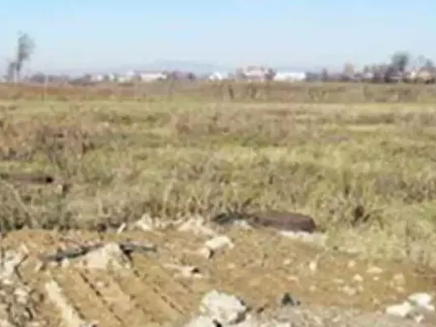 Immagine 3 di Terreno agricolo in vendita  in Via Valter Brunelli a Nogara