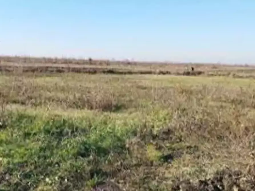 Immagine 5 di Terreno agricolo in vendita  in Via Valter Brunelli a Nogara