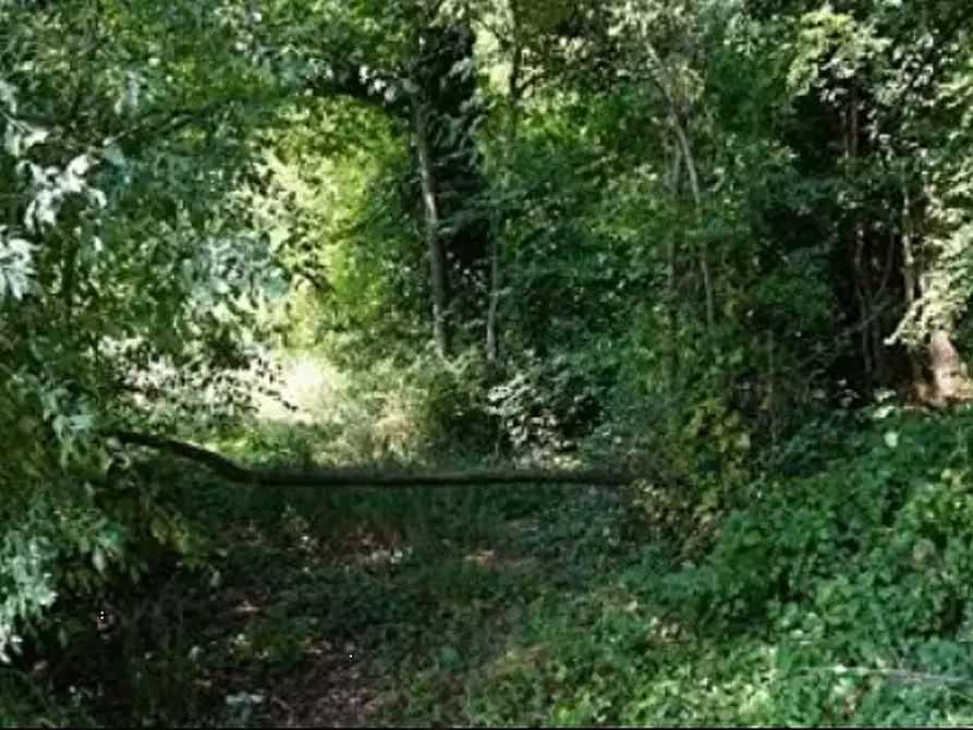 Immagine 2 di Terreno agricolo in vendita  in Strada Provinciale a Sovizzo