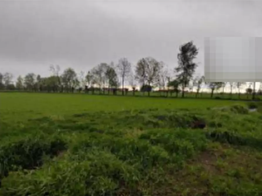 Immagine 1 di Terreno agricolo in vendita  in Str. Motta a Castelletto Stura