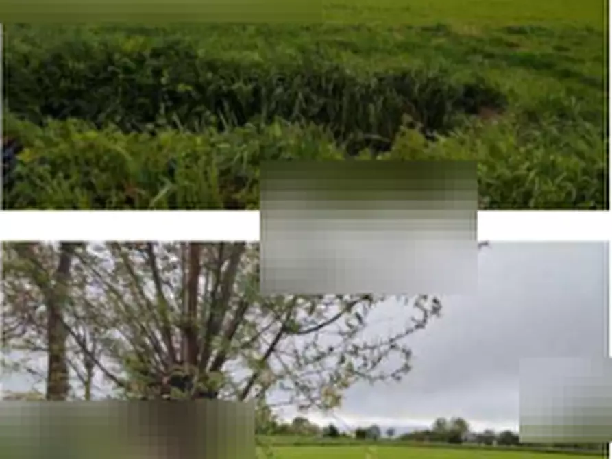 Immagine 2 di Terreno agricolo in vendita  in Str. Motta a Castelletto Stura
