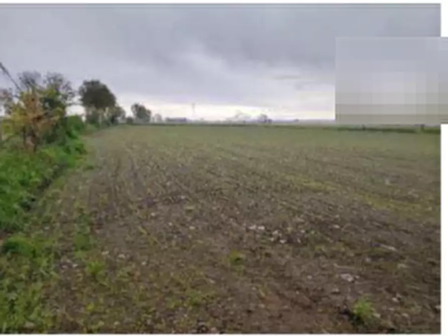 Immagine 3 di Terreno agricolo in vendita  in Str. Motta a Castelletto Stura