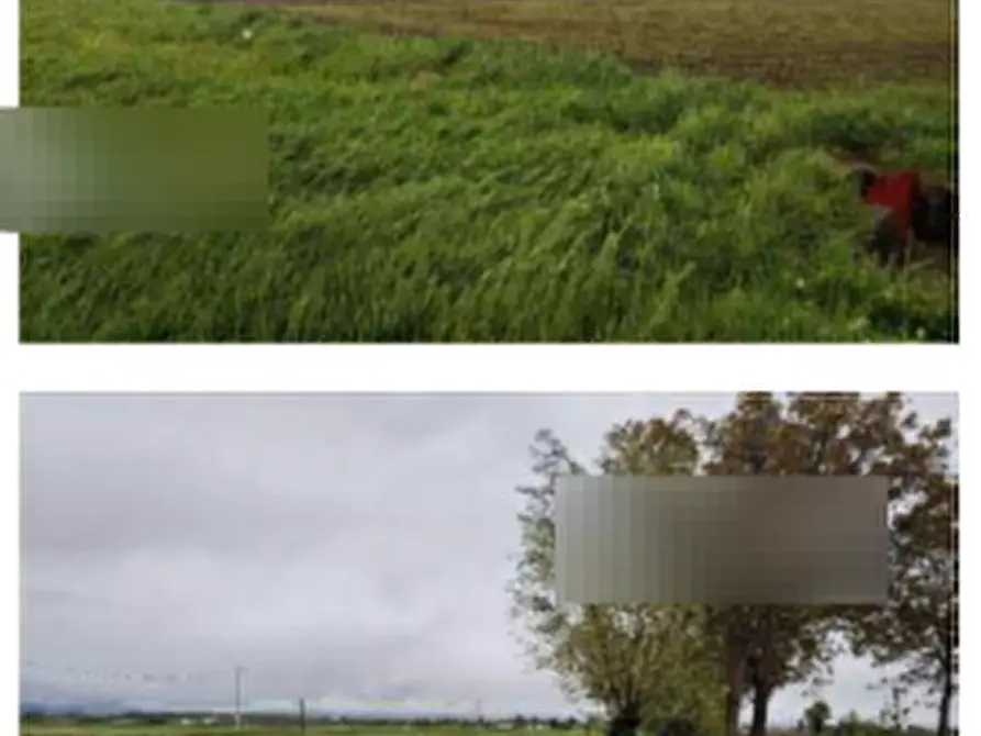 Immagine 4 di Terreno agricolo in vendita  in Str. Motta a Castelletto Stura