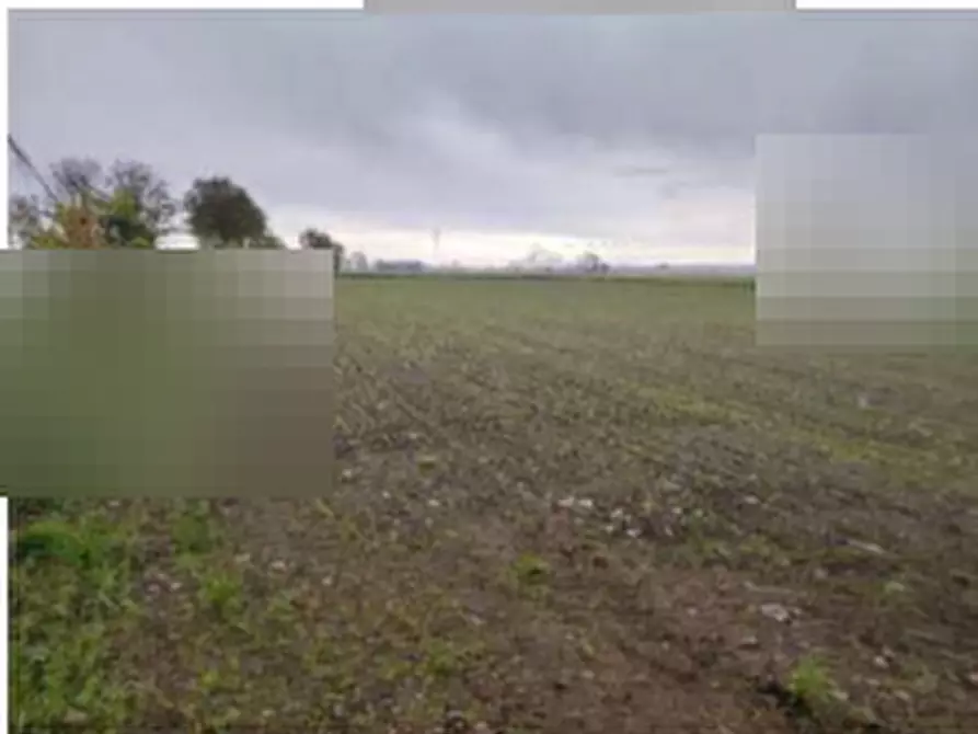 Immagine 5 di Terreno agricolo in vendita  in Str. Motta a Castelletto Stura