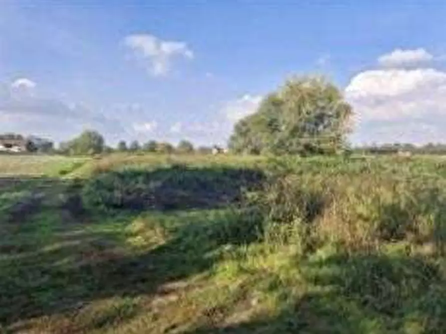 Immagine 1 di Terreno agricolo in vendita  in Via Lonate Pozzolo a Castano Primo
