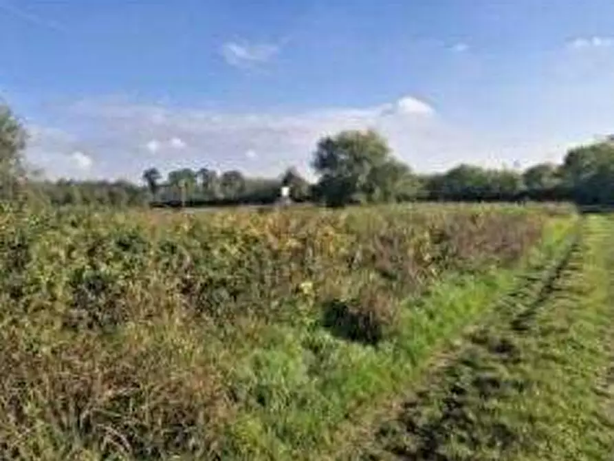 Immagine 2 di Terreno agricolo in vendita  in Via Lonate Pozzolo a Castano Primo