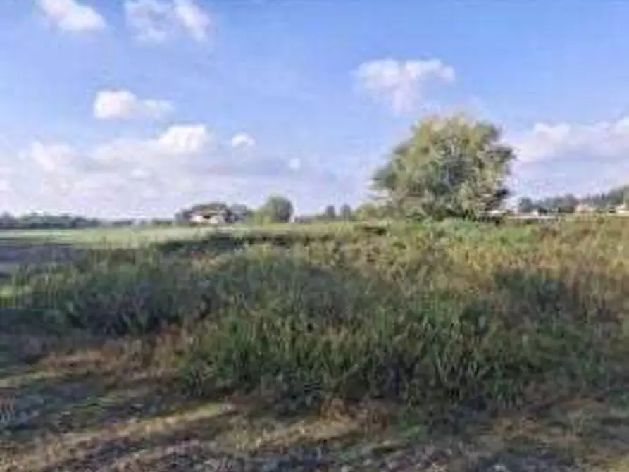Immagine 3 di Terreno agricolo in vendita  in Via Lonate Pozzolo a Castano Primo