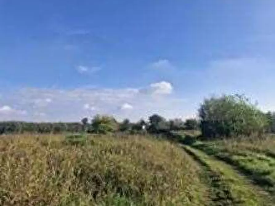 Immagine 4 di Terreno agricolo in vendita  in Via Lonate Pozzolo a Castano Primo
