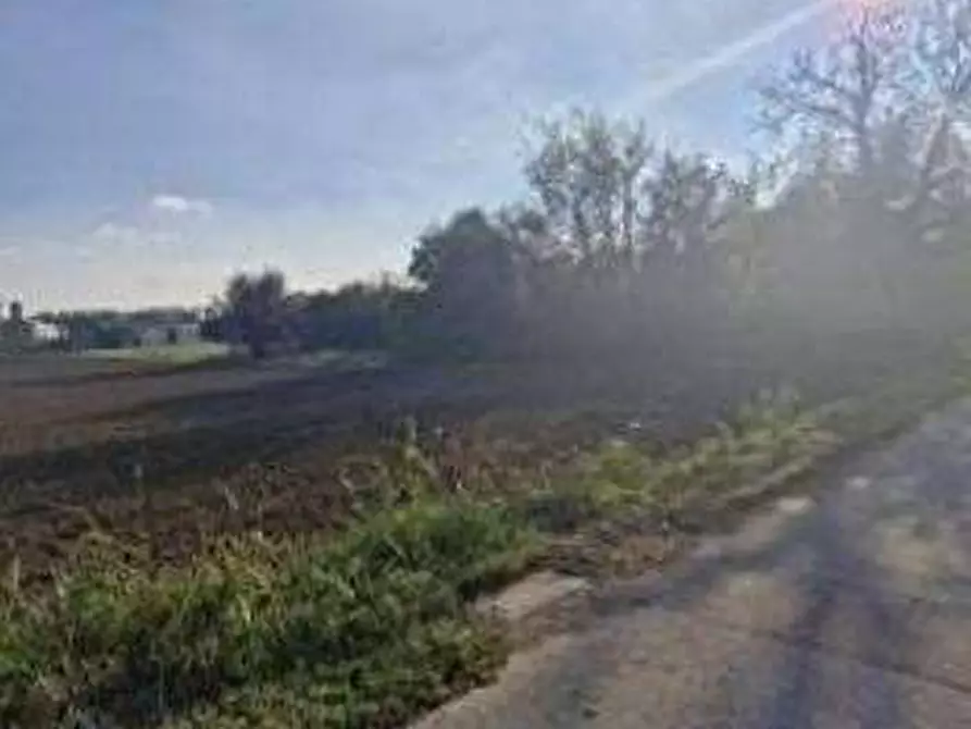Immagine 3 di Terreno agricolo in vendita  in Via Tintoretto a Castano Primo