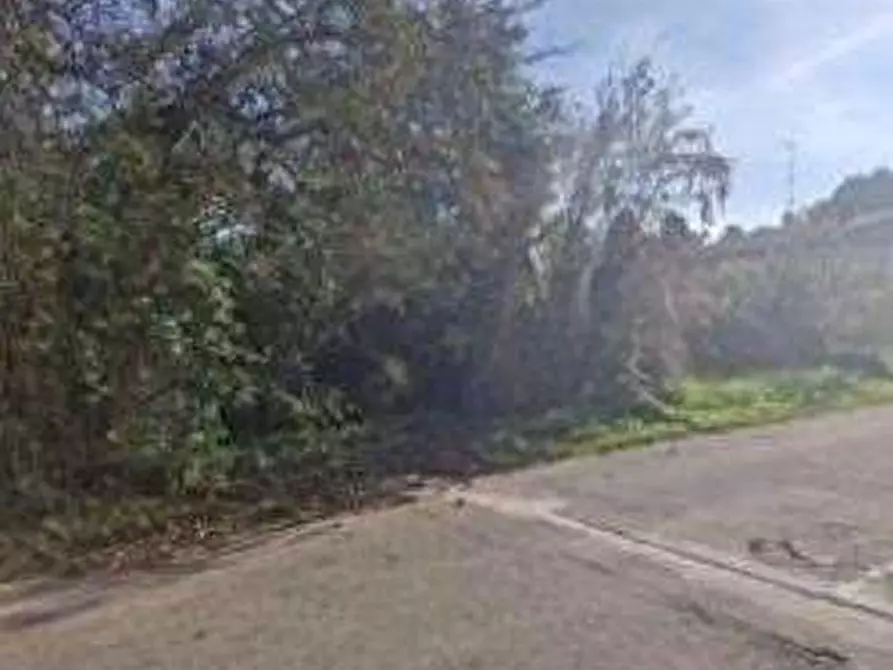Immagine 4 di Terreno agricolo in vendita  in Via Tintoretto a Castano Primo