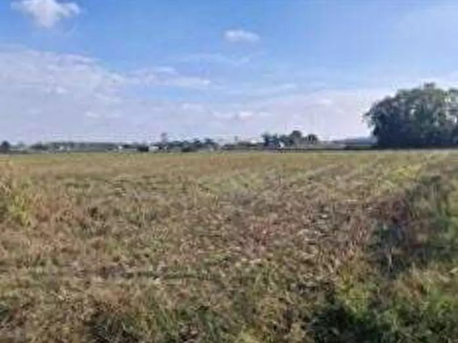 Immagine 1 di Terreno agricolo in vendita  in via Sandro Pertini a Castano Primo