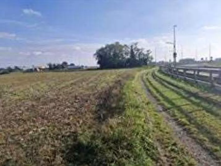Immagine 2 di Terreno agricolo in vendita  in via Sandro Pertini a Castano Primo