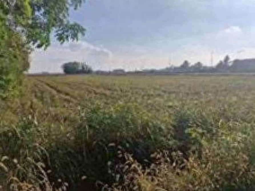 Immagine 1 di Terreno agricolo in vendita  in via Sandro Pertini a Castano Primo