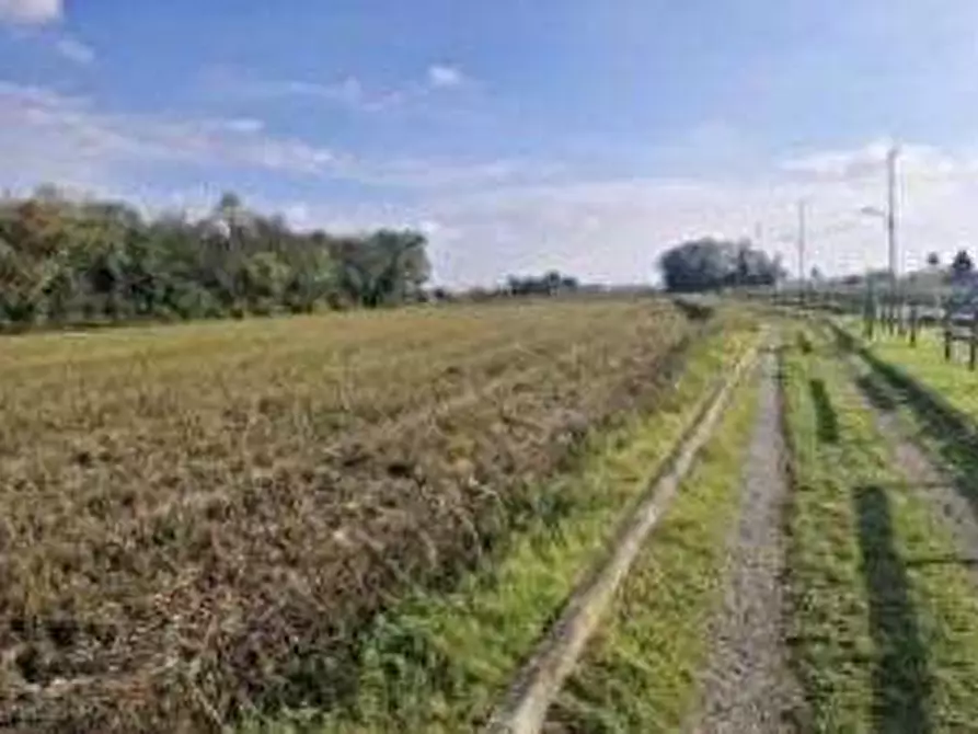 Immagine 2 di Terreno agricolo in vendita  in via Sandro Pertini a Castano Primo