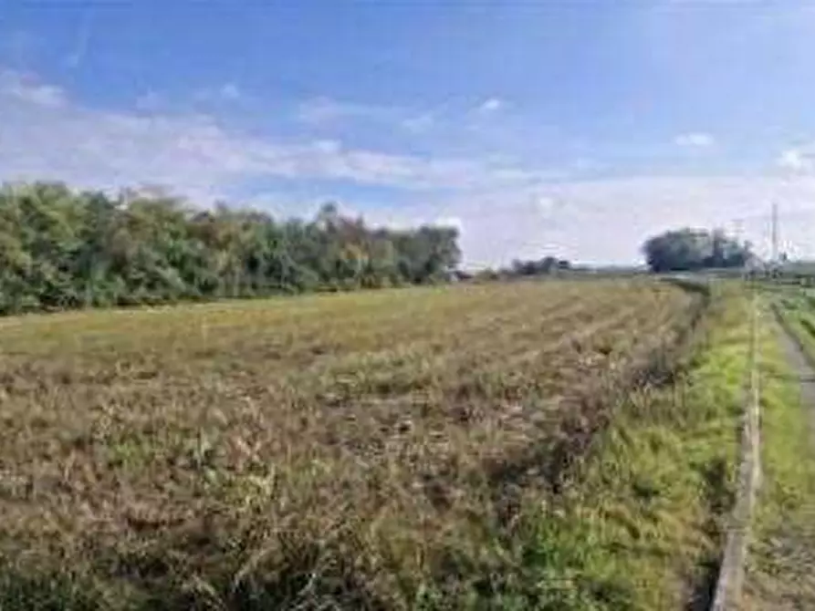 Immagine 3 di Terreno agricolo in vendita  in via Sandro Pertini a Castano Primo
