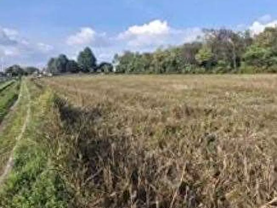 Immagine 4 di Terreno agricolo in vendita  in via Sandro Pertini a Castano Primo