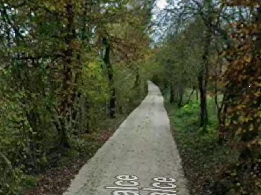 Immagine 10 di Villa in vendita  in Via Salce a Belluno