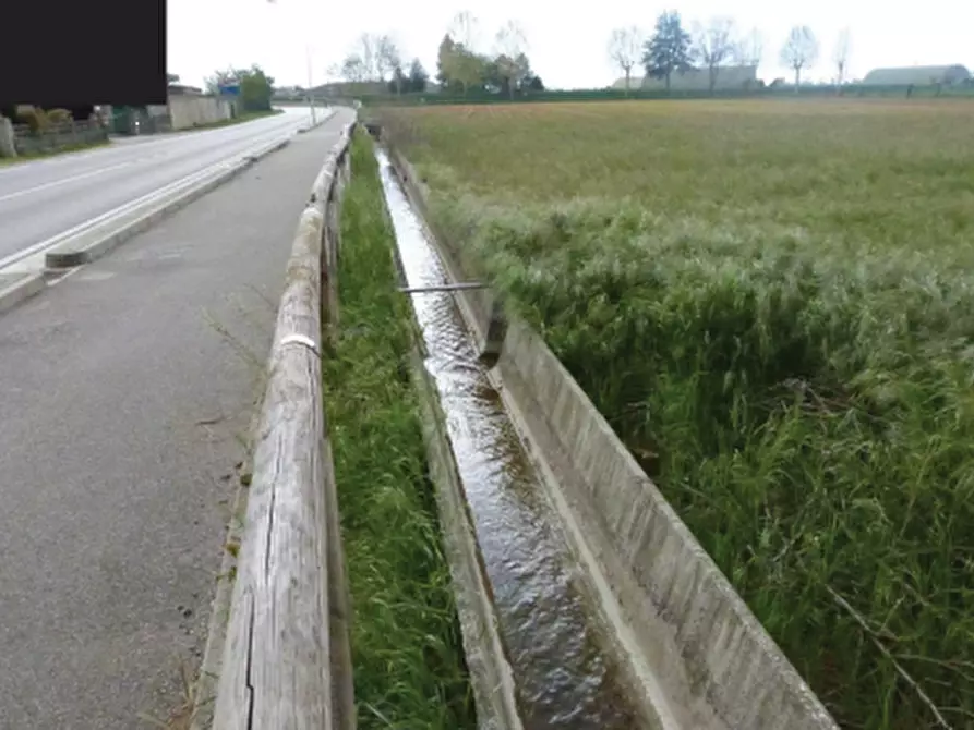 Immagine 4 di Terreno agricolo in vendita  in Via Monte Grappa a Istrana
