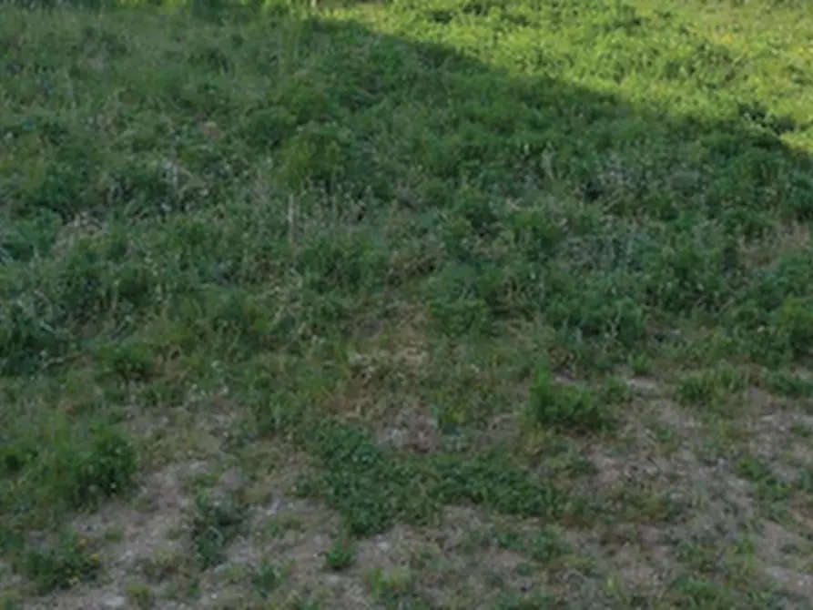 Immagine 2 di Terreno agricolo in vendita  in Via Monte Grappa a Istrana