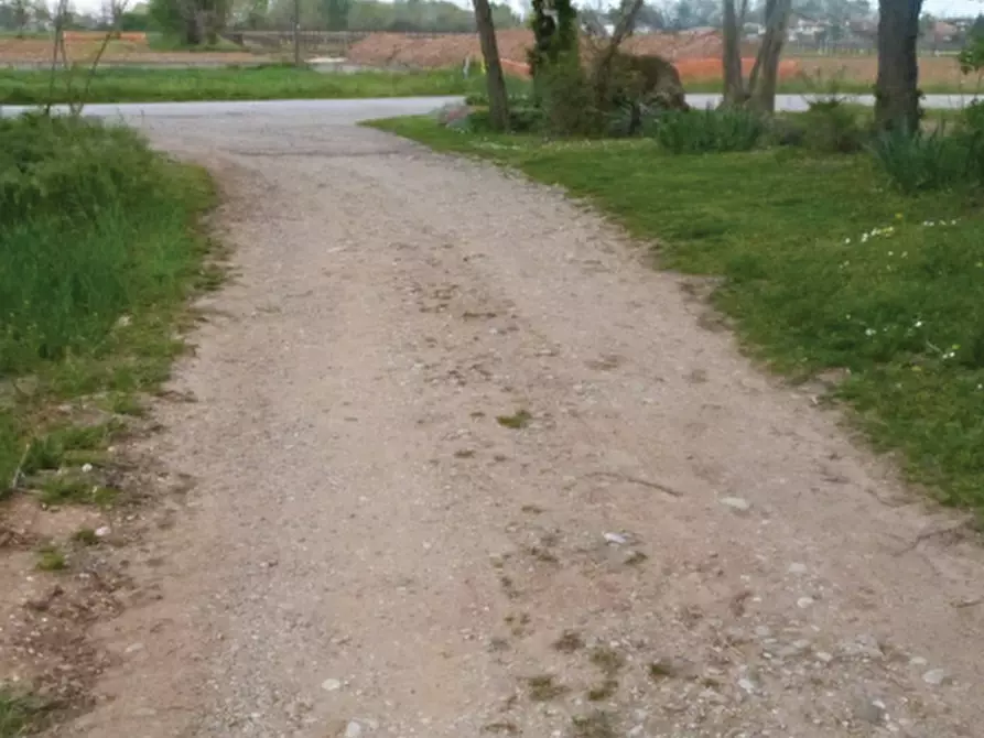 Immagine 5 di Terreno agricolo in vendita  in Via Monsignor Farina a Paese