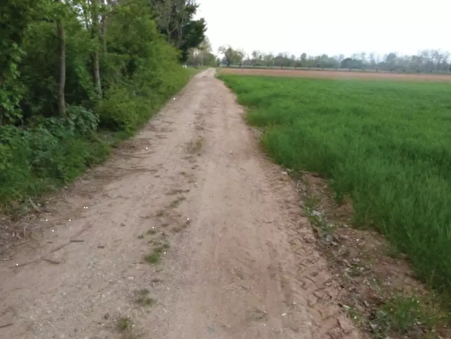 Immagine 6 di Terreno agricolo in vendita  in Via Monsignor Farina a Paese