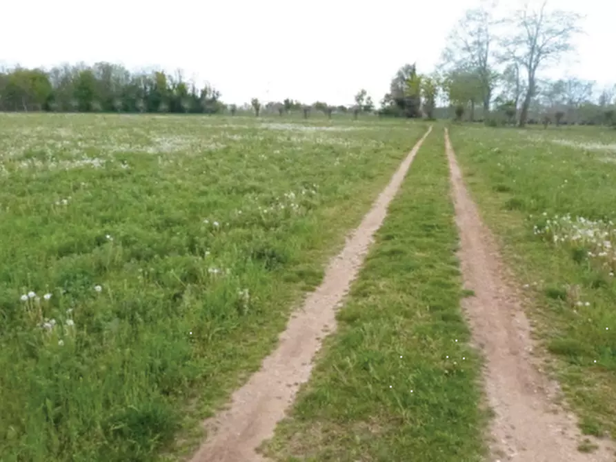 Immagine 7 di Terreno agricolo in vendita  in Via Monsignor Farina a Paese