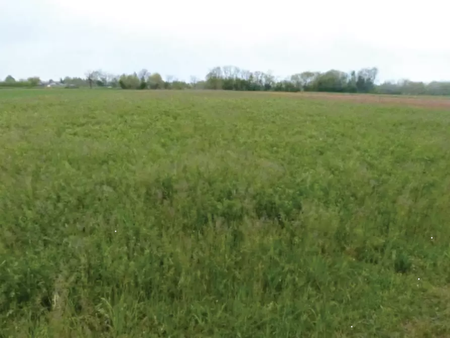 Immagine 3 di Terreno agricolo in vendita  in Via Monsignor Farina a Paese