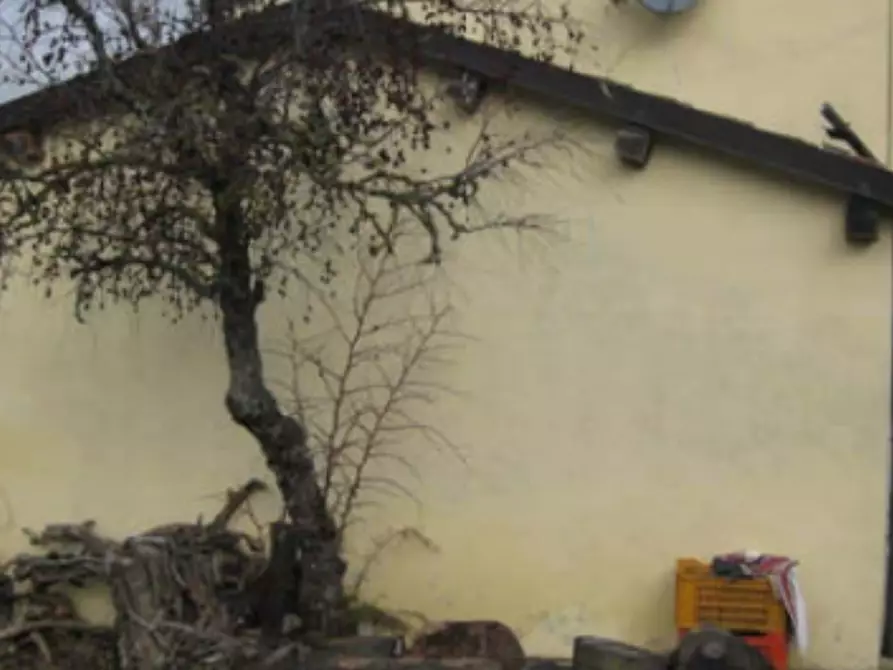 Immagine 5 di Appartamento in vendita  in Via Cà di Mezzo a Predappio